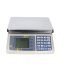 DIGISCALE 0.2g-10kg Counting Weighing Scale (DS610C) Price