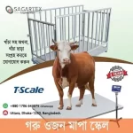 Animal Weighing Machine , Animal Weighing Scales for Sale , Animal Weight Machine , beat cattle scale , Best Cattle Weigh Scales , best cattle weight scale , Best Scales to Weigh Cats , cattle scale , cattle scale near me , cattle scale supplier , Cattle Weighing Equipment , Cattle Weighing Machine , Cattle Weighing Platform , Cattle Weighing Scales , Cattle Weighing Scales for Sale , Cattle Weighing Systems , Cattle Weight Machine , cattle weight scale , cattle weight scale bd , cattle weight scale near me , cattle weight scale price in bangladesh , cattle weight scale supplier near me , Cattle Weight Scales For Sale , Cow on a Scale , Cow Scale , Cow Weighing Machine , Cow Weighing Scales , Cow Weight Machine , Cow Weight Scale , Cows Withdrawal Scale , Digital Animal Scales , Digital Calf Scale , Digital Cattle Scale , Digital Cattle Weighing Scales , Digital Scale for Animals , Electronic Cattle Weighing Scales , Goat Weighing Machine , Goat Weight Machine , Goat Weight Scale , Large Animal Weighing Scales , Rabbit Weight Scale , Sheep Weighing Scales , Weighing Animals , Weighing Cattle , Weighing Scale for Cows , Weighing Scale for Goats , Weight Machine for Animals , Weight Machine for Cow , Weight Machine for Goats